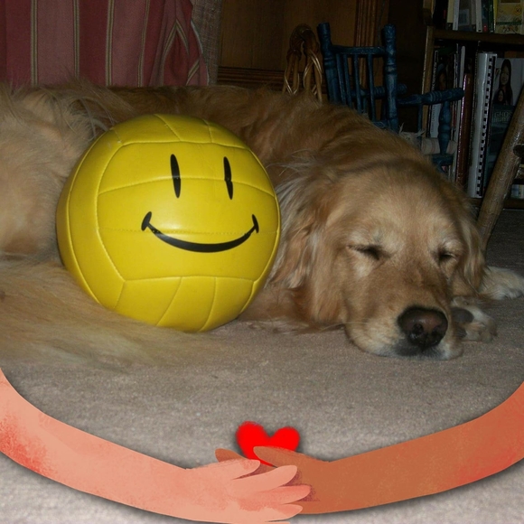 Meet your Posher, Stephanie - Picture 1 of 1